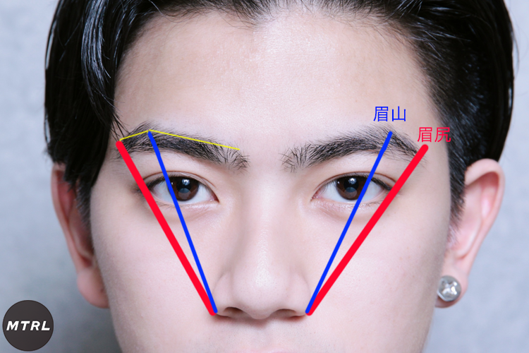 男の眉毛カットの理想の形。メンズは小鼻の横から目尻の延長線に伸ばしていくといいです