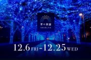 東京・渋谷でイルミネーションイベント「青の洞窟」12月6日～25日まで。代々木公園にスノードームも